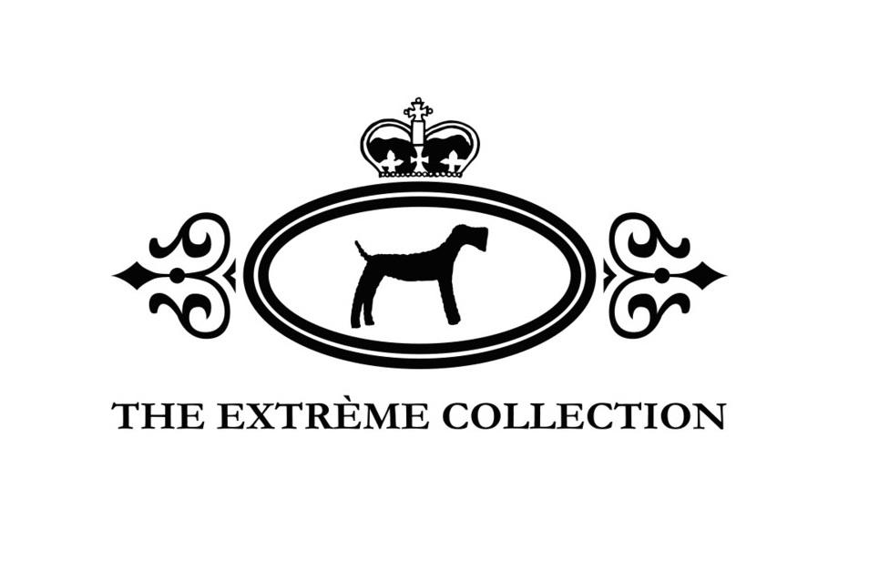 THE EXTREME COLLECTION