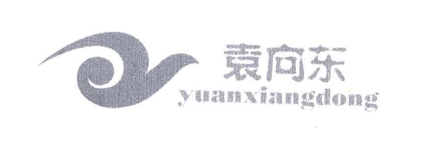 袁向东