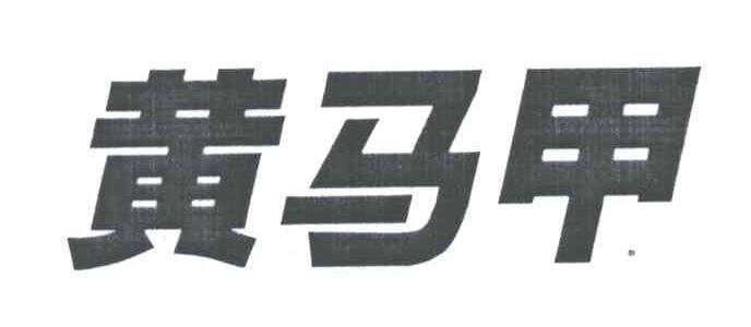 黄马甲