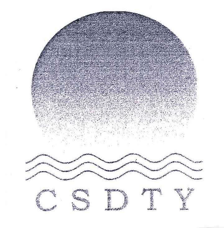 CSDTY