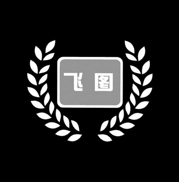 飞图
