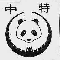 中特