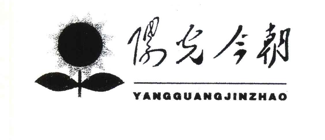 阳光今朝