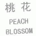 桃花;PEACH BLOSSOM