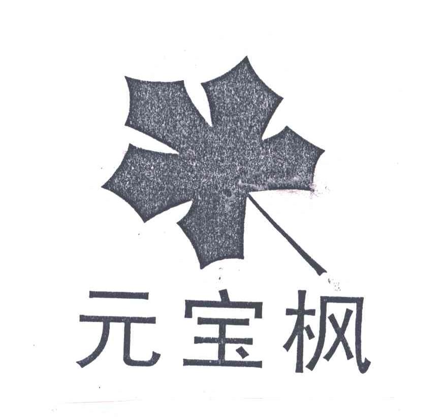 元宝枫