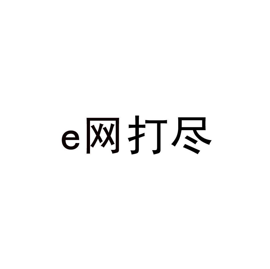 E 网打尽