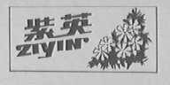 紫英