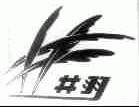 井羽