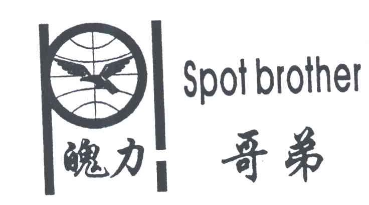 魄力哥弟;SPOT BROTHER