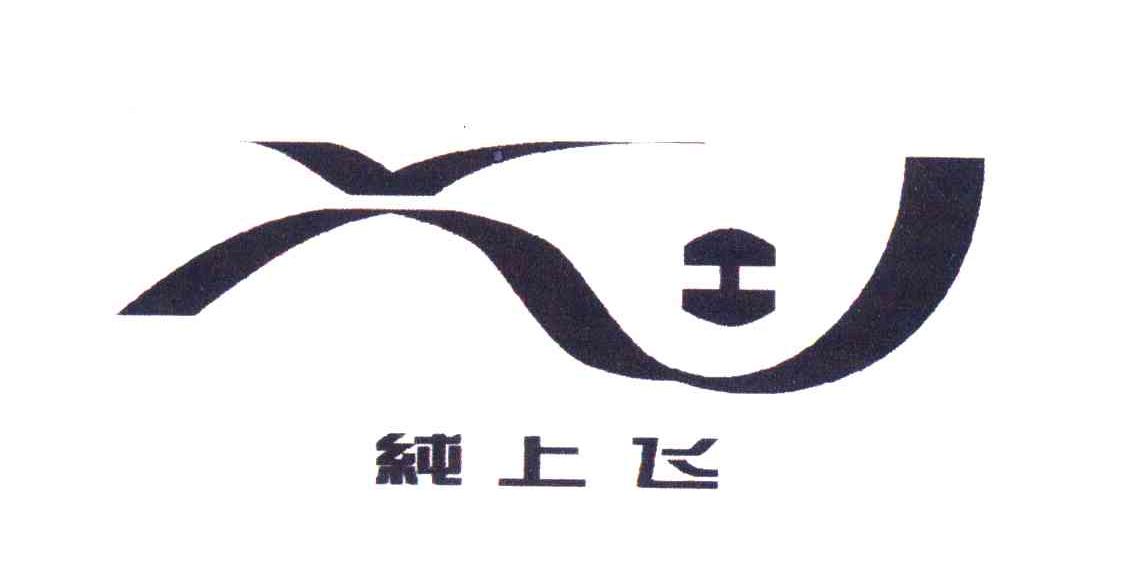 纯上飞