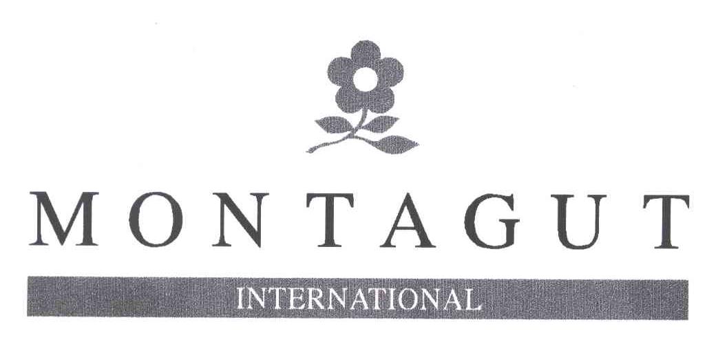 MONTAGUT INTERNATIONAL