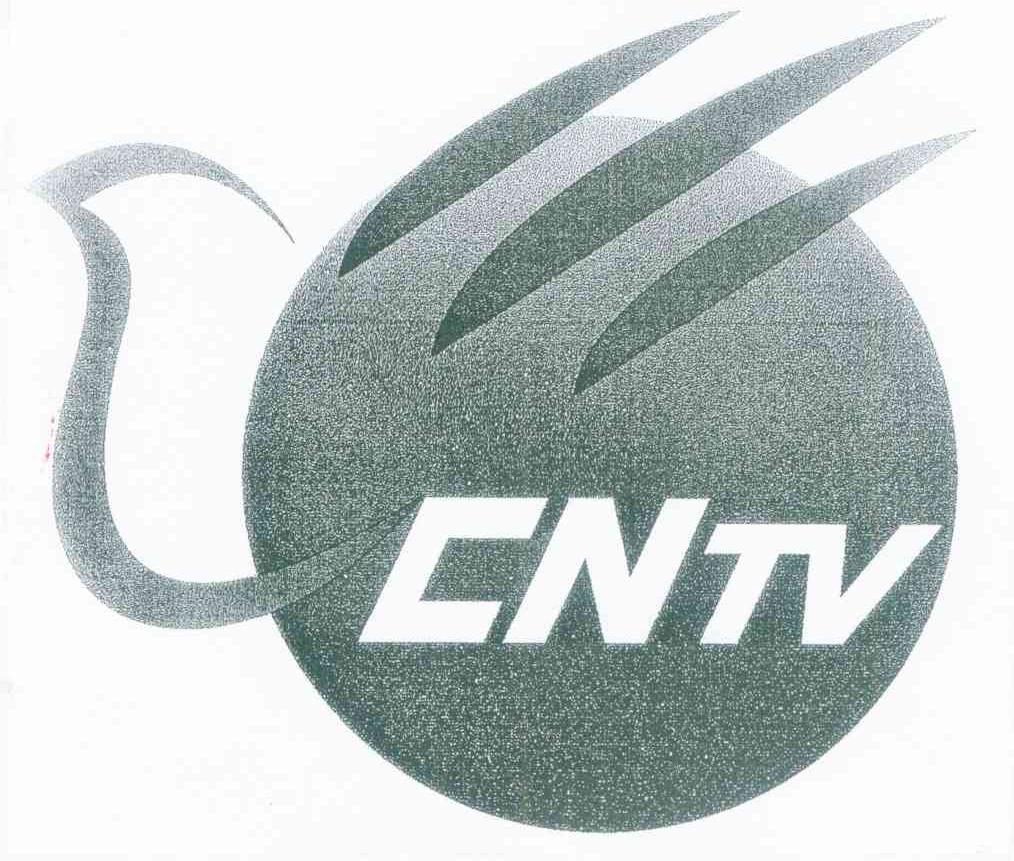 CNTV