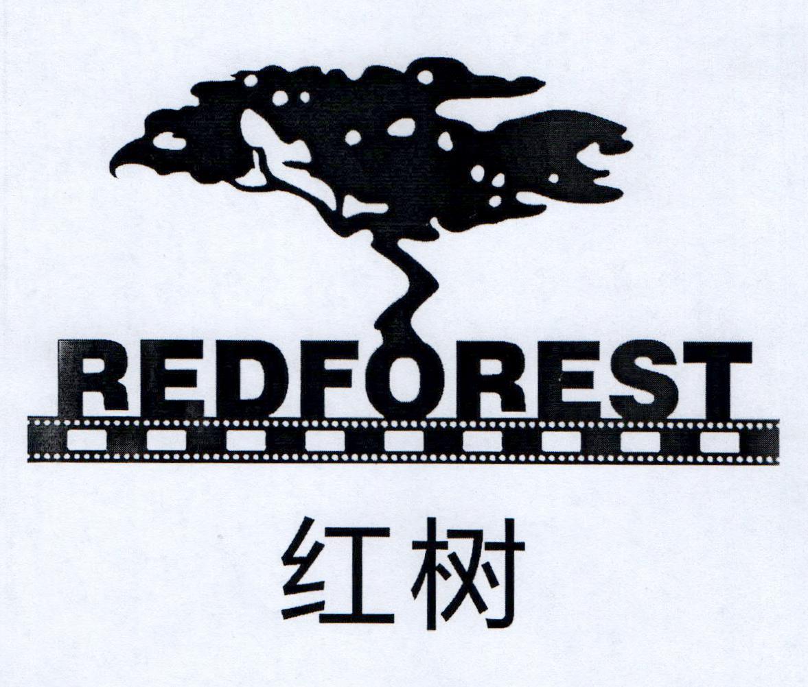 红树 REDFOREST