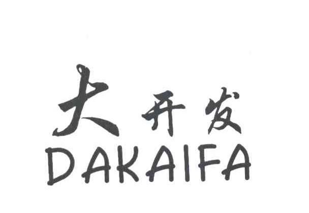 大开发