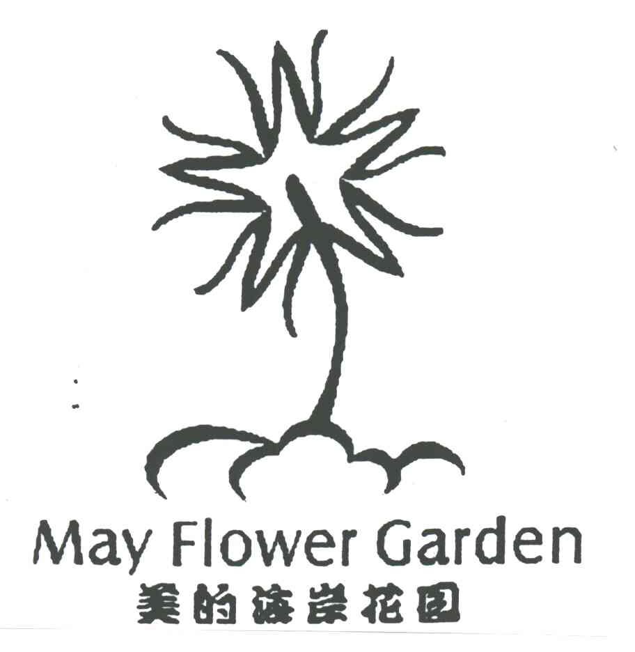 美的海岸