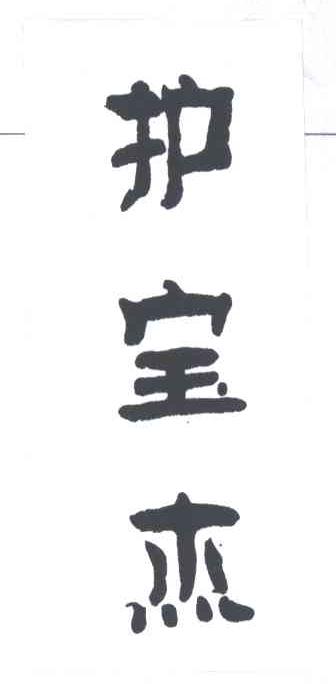 护宝杰