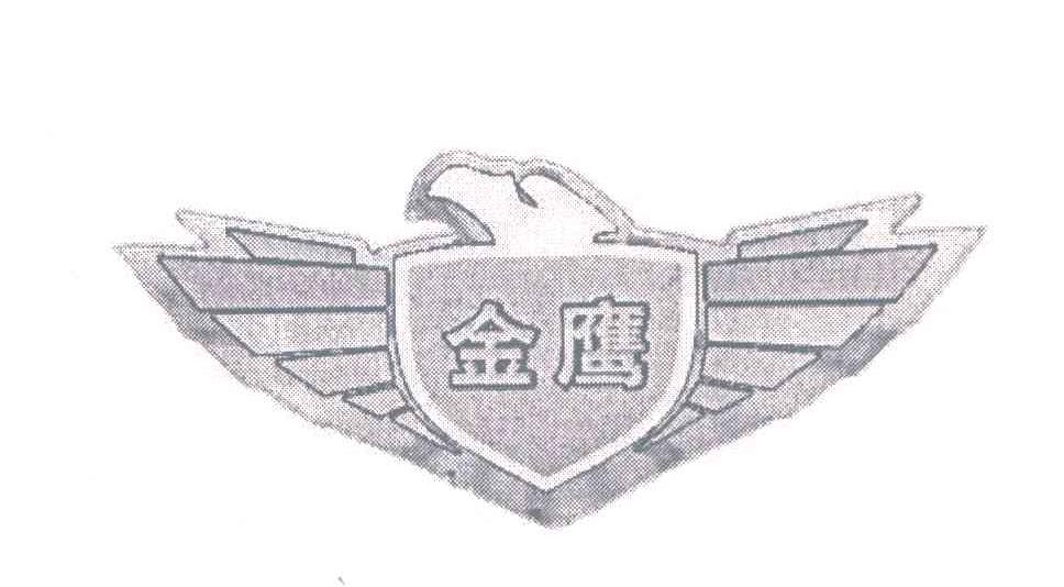 金鹰