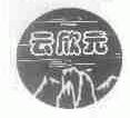 云欣元