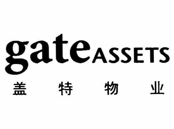 盖特 GATEASSETS