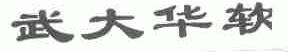 武大华软
