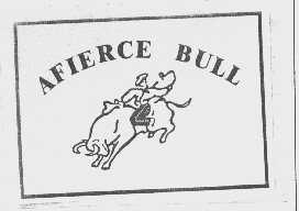 AFIERCE BULL