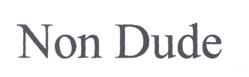NON DUDE