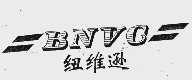 纽维逊;BNVC