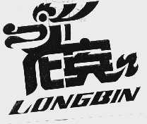 龙宾