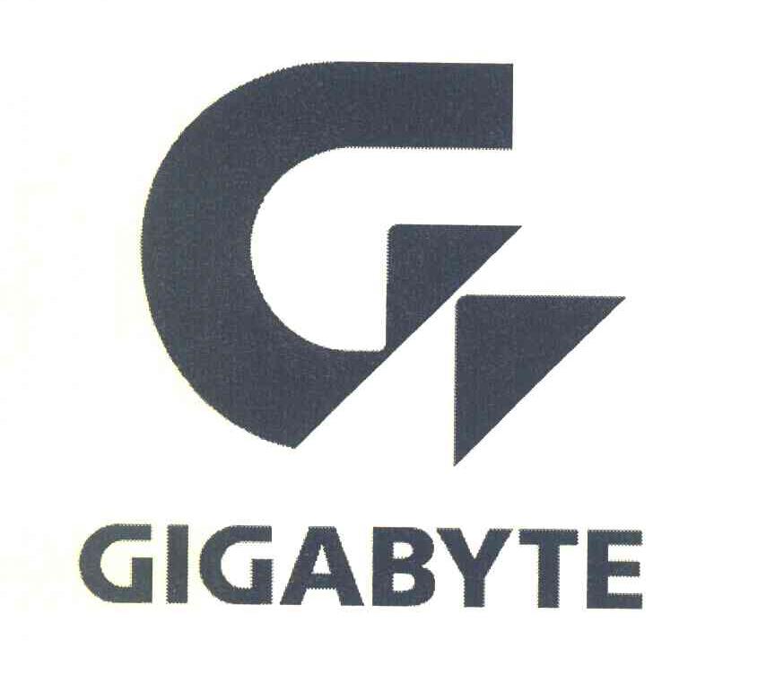 GIGABYT G