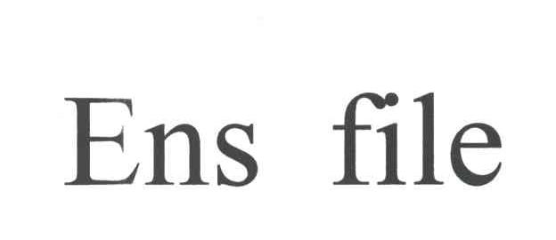 ENS FILE
