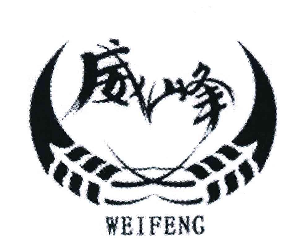 威峰 WEIFENG