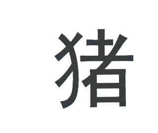猪