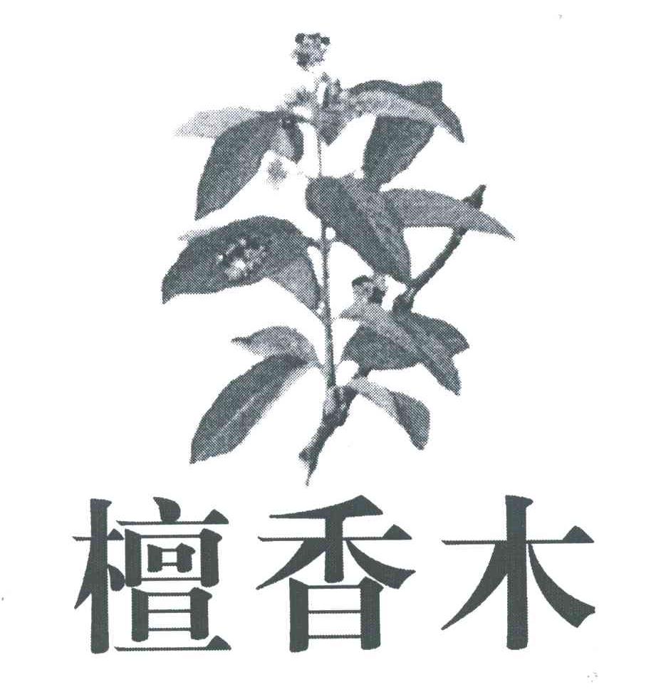 檀香木