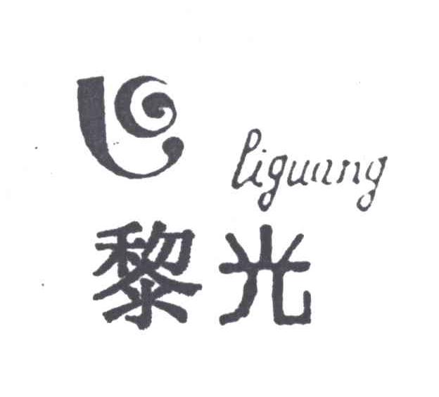 黎光及图