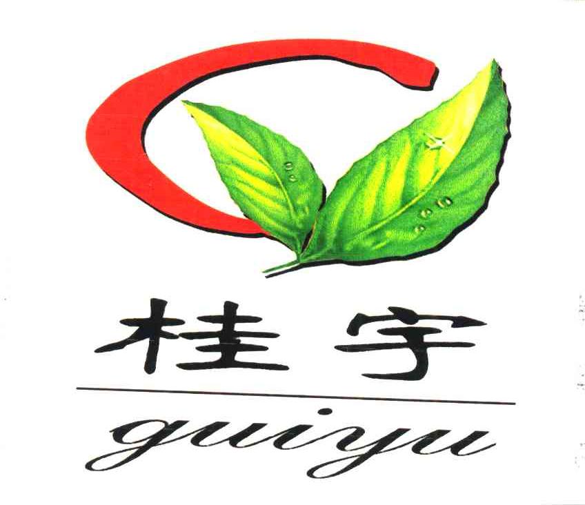 桂宇