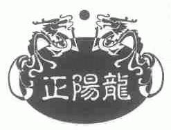 正阳龙