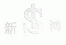 新鸿