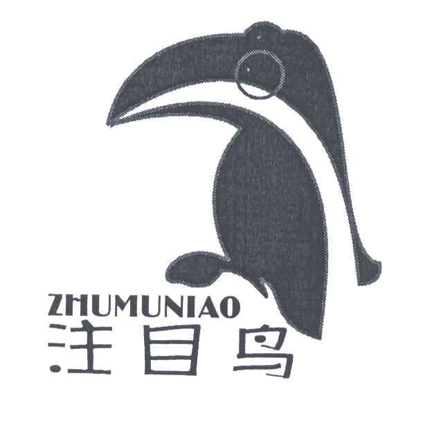 注目鸟及图形