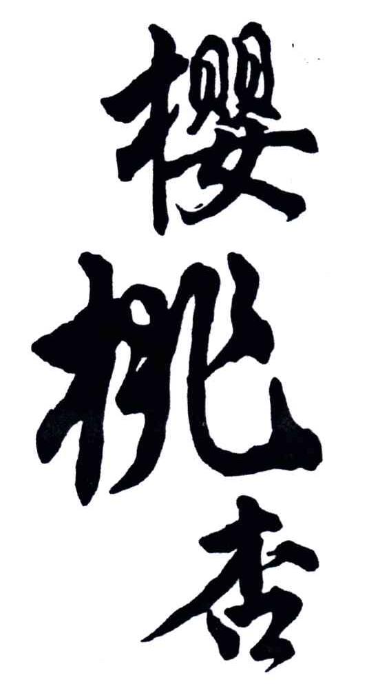 樱桃杏