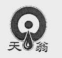 天翁