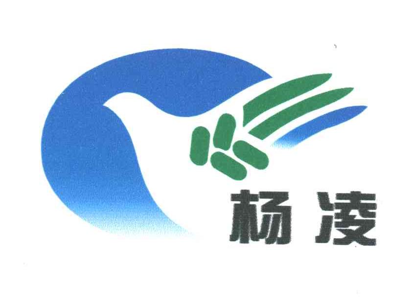 杨凌