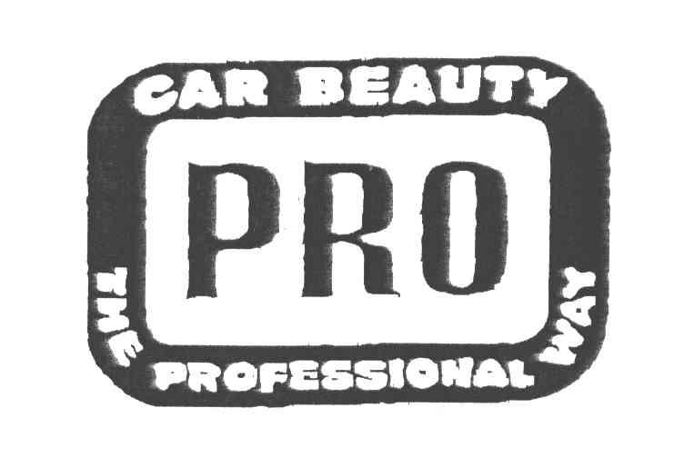 CAR BEAUTY THE PROFESSIONAL WAY；PRO