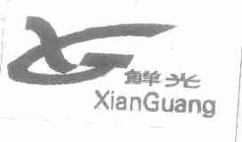 鲜光