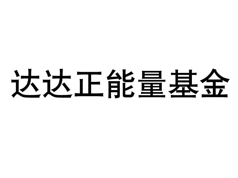 达达正能量基金