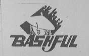 BASHFUL