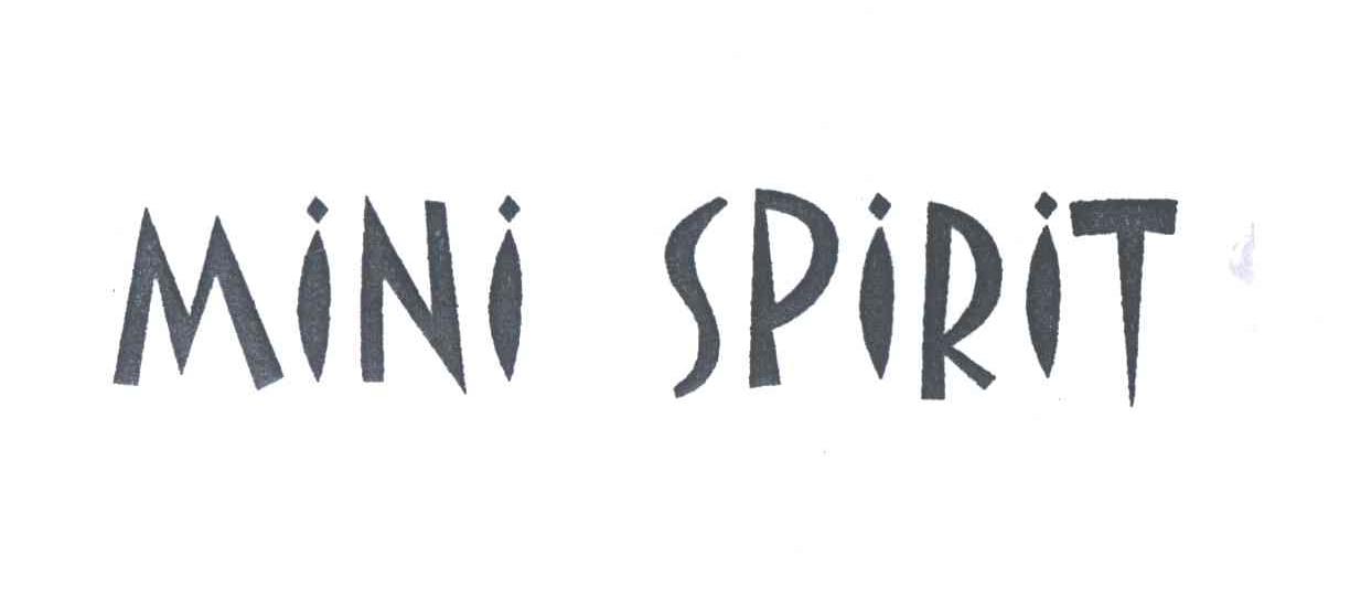 MINI SPIRIT
