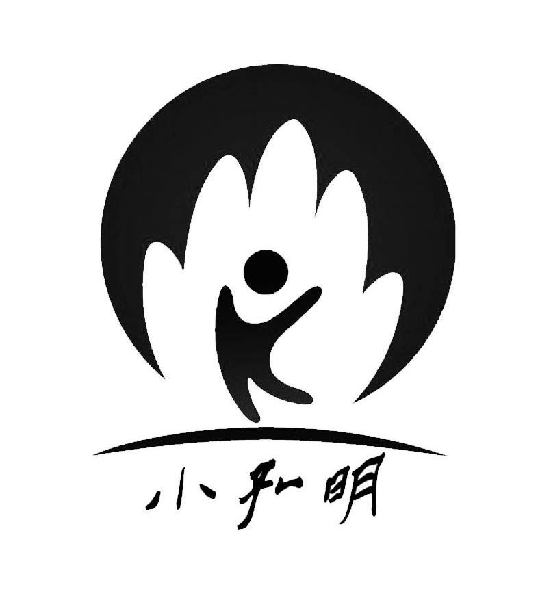 小孔明
