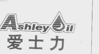 爱士力   ASHLEYIL
