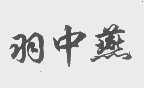 羽中燕