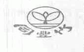 同丰竹